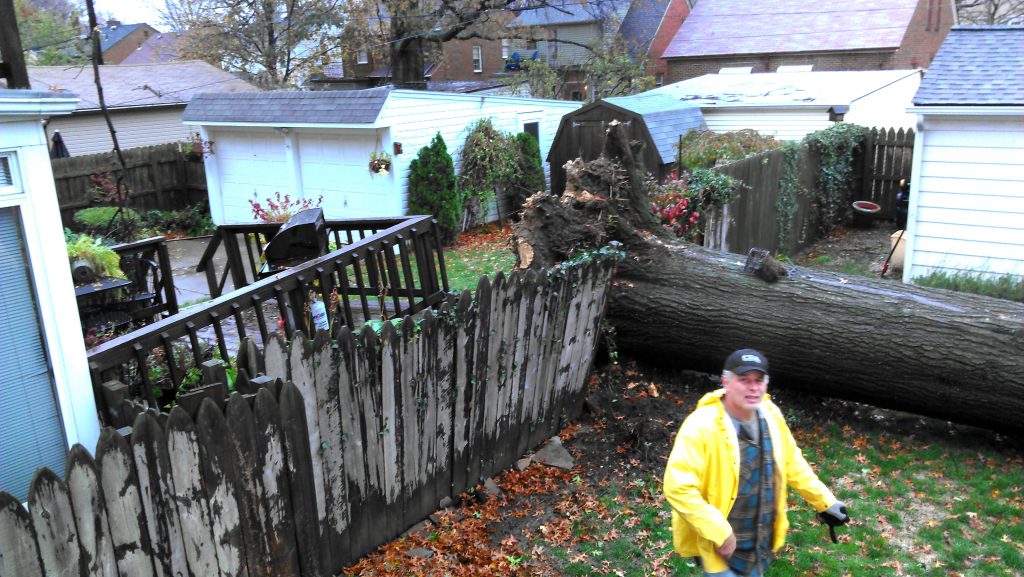 Hurricane Sandy-First Response